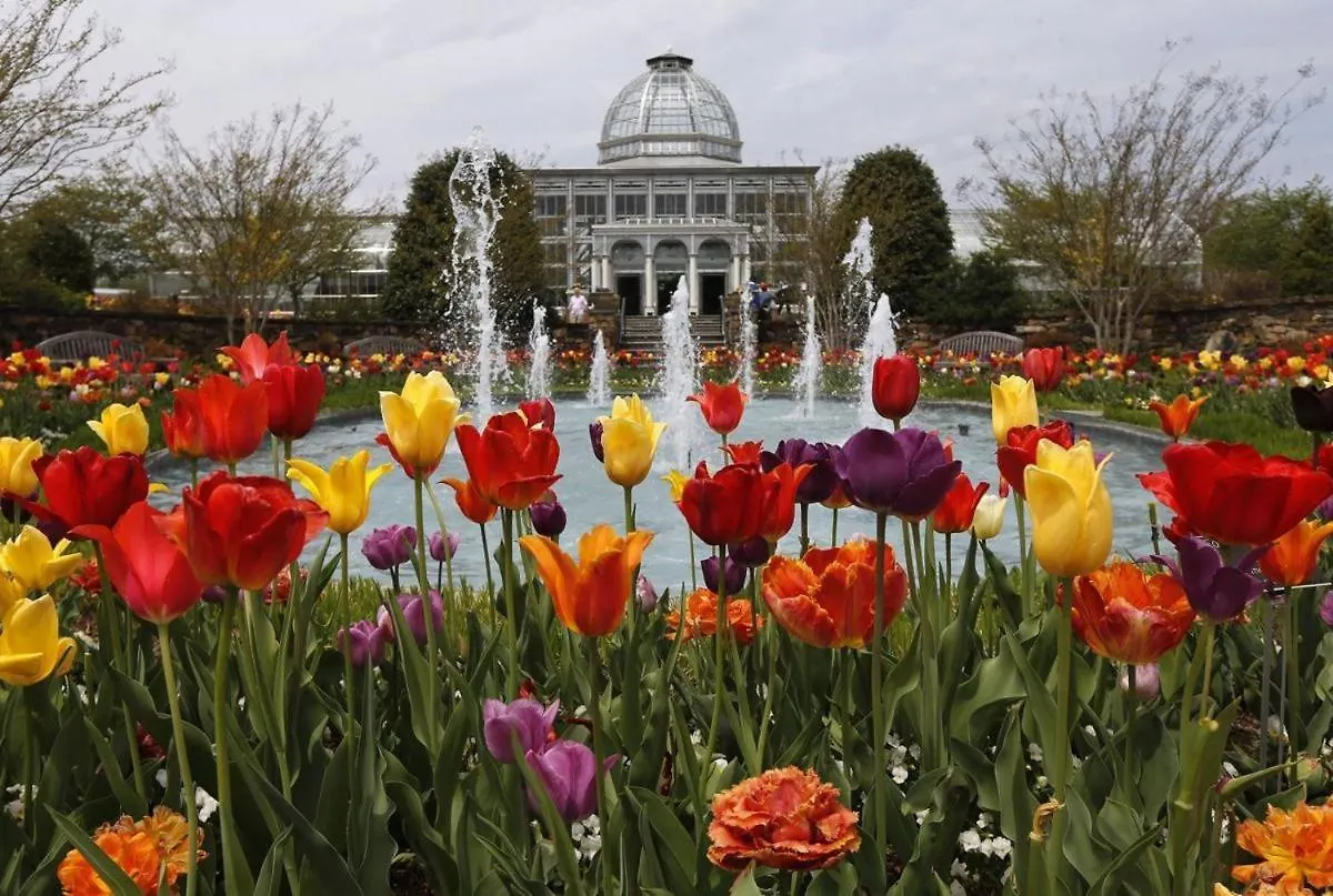 Serenity In The Suburbs: Your Gorgeous Rva Getaway Richmond Hébergement de vacances